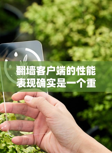 翻墙客户端的性能表现确实是一个重要的因素,因为它直接关系到用户体验的稳定性和安全。以下是一些常见的翻墙客户端,并根据性能和特点进行分析 翻墙客户端的性能表现确实是一个重要的因素,因为它直接关系到用户体验的稳定性和安全。以下是一些常见的翻墙客户端,并根据性能和特点进行分析