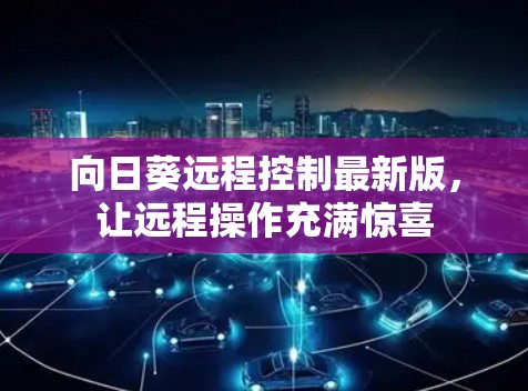 向日葵远程控制最新版，让远程操作充满惊喜