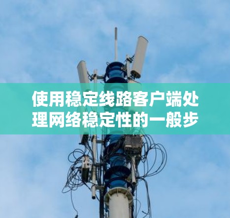使用稳定线路客户端处理网络稳定性的一般步骤如下
