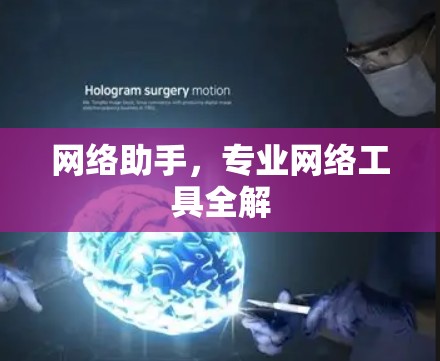 网络助手，专业网络工具全解
