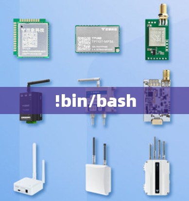 !bin/bash