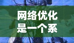 网络优化是一个系统性的工作，涉及多个方面和步骤。以下是一个有条理的网络优化计划