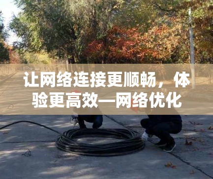 让网络连接更顺畅，体验更高效—网络优化体验版