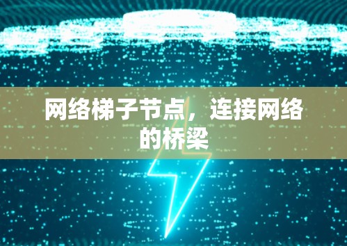 网络梯子节点,连接网络的桥梁 网络梯子节点,连接网络的桥梁