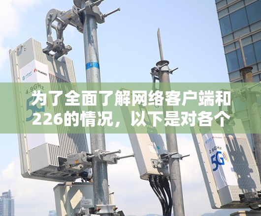 为了全面了解网络客户端和226的情况，以下是对各个关键点的详细分析