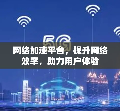 网络加速平台，提升网络效率，助力用户体验