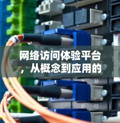 网络访问体验平台，从概念到应用的全面解析