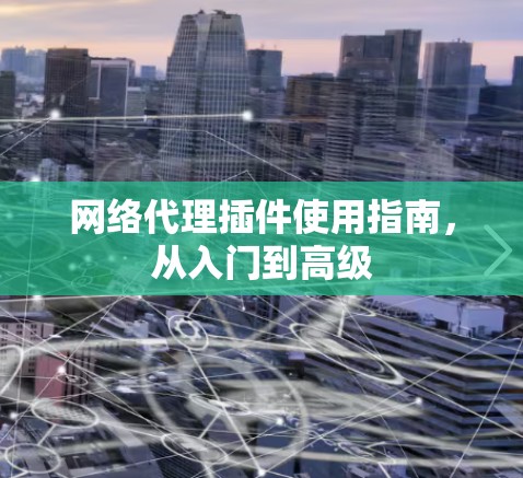 网络代理插件使用指南，从入门到高级