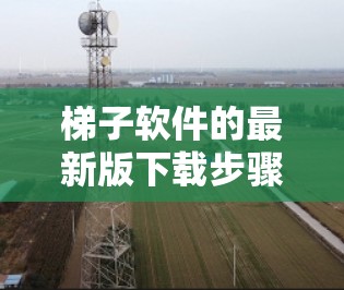梯子软件的最新版下载步骤如下